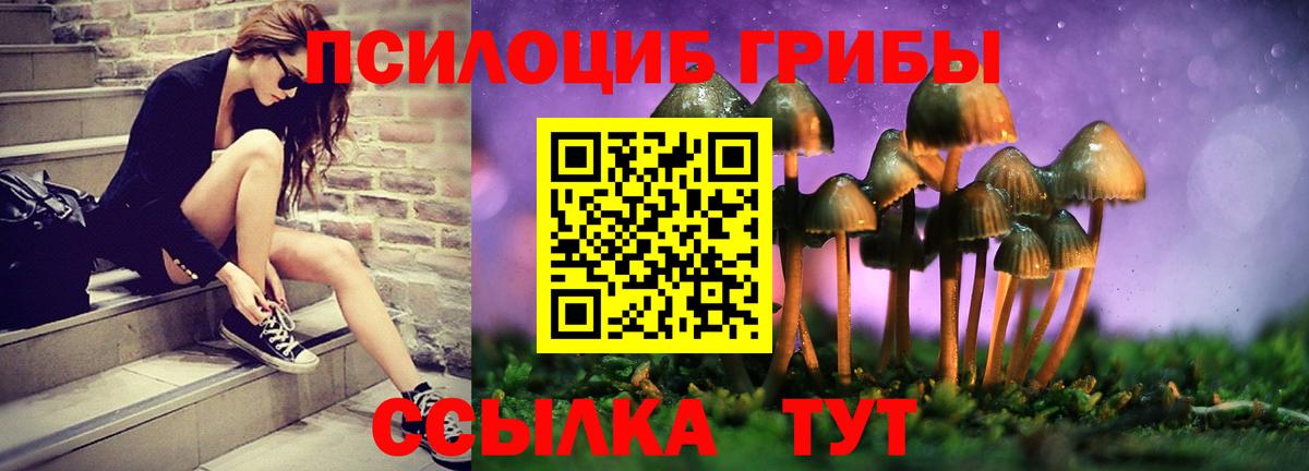 Волгодонск  Галлюциногенные грибы Psilocybine cubensis  даркнет сайт  Вход с VPN 